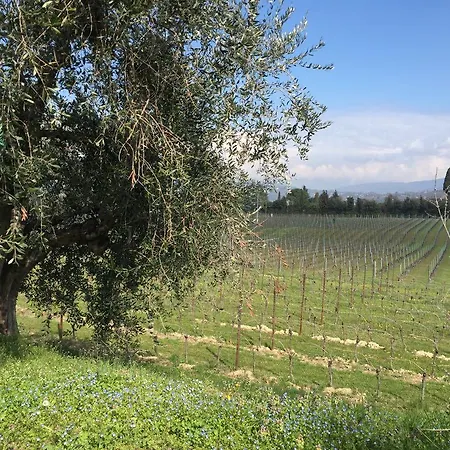 Tenuta La Cà